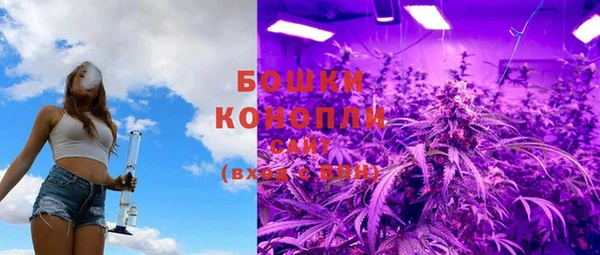 спиды Арсеньев